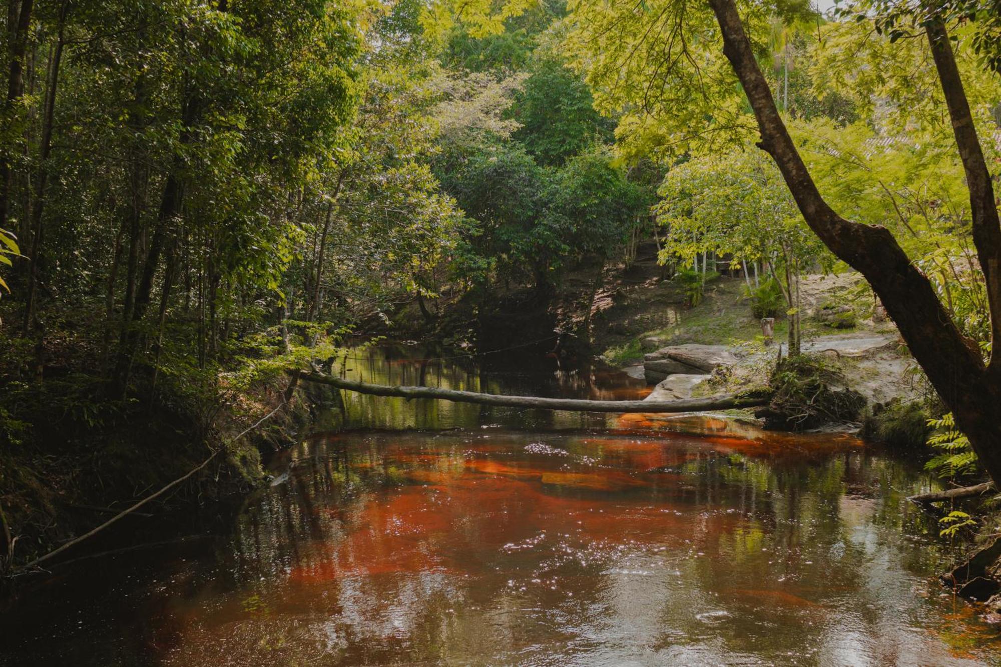Refugio Mari Mari Lodge Presidente Figueiredo Exteriér fotografie