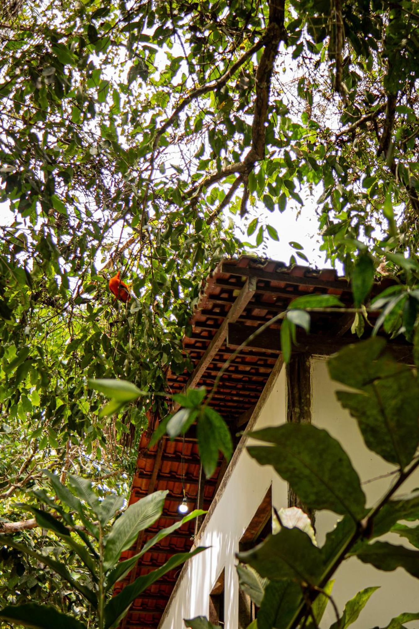 Refugio Mari Mari Lodge Presidente Figueiredo Exteriér fotografie